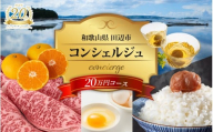 【田辺市コンシェルジュ】返礼品おまかせ！寄附額20万円コース / 和歌山 田辺市 コンシェルジュ みかん 梅干し 熊野牛 熊野米 【syn001】