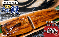 希少 四万十川産＜天然うなぎ＞蒲焼（カット)（計400g） 天然うなぎ 天然 四万十川 希少 鰻 ウナギ うなぎ お取り寄せ グルメ きざみ お楽しみ おいしい ギフト 食べ物 食品 おかず 国産鰻 蒲焼 うなぎ蒲焼 ウナギ蒲焼 鰻蒲焼 冷凍 国産 高知 高知県 四万十 四万十市 R7-98