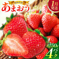 【1月発送】福岡県産あまおう約250g×4パック