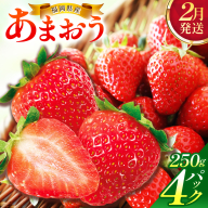 【2月発送】福岡県産あまおう約250g×4パック