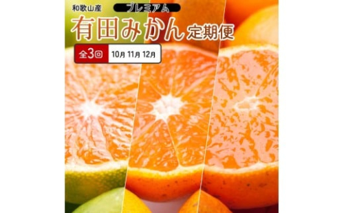 厳選 柑橘定期便SS（10～12月）全3回【みかん定期便お試し版】［IKE284］ 2376601 - 和歌山県上富田町