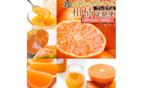 厳選 柑橘定期便S（偶数月）全6回［IKE286］ 2376603 - 和歌山県上富田町