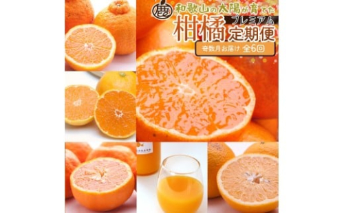 厳選 柑橘定期便S（奇数月）全6回［IKE287］ 2376604 - 和歌山県上富田町