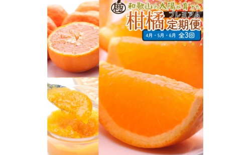 厳選 柑橘定期便S（4～6月）全3回 ［IKE289］ 2376606 - 和歌山県上富田町