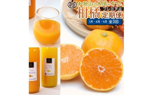 厳選 柑橘定期便S（7～9月）全3回 ［IKE290］ 2376607 - 和歌山県上富田町