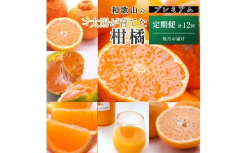 厳選 柑橘定期便M（毎月）全12回 ［IKE292］ 2376609 - 和歌山県上富田町