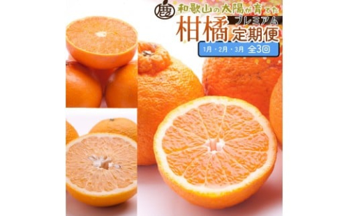 厳選 柑橘定期便M（1～3月）全3回 ［IKE295］ 2376612 - 和歌山県上富田町