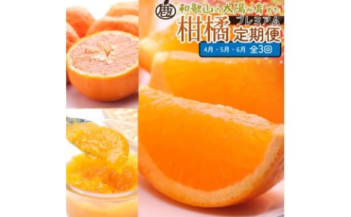 厳選 柑橘定期便M（4～6月）全3回 ［IKE296］ 2376613 - 和歌山県上富田町