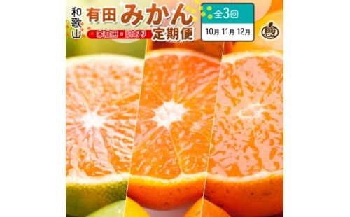 家庭用 柑橘定期便SS（10～12月）全3回【みかん定期便お試し版】 ［IKE299］ 2376616 - 和歌山県上富田町
