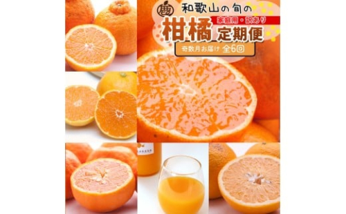 家庭用 柑橘定期便S（奇数月）全6回 ［IKE301］ 2376618 - 和歌山県上富田町
