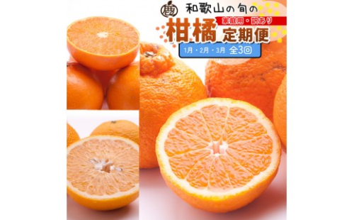 家庭用 柑橘定期便S（1～3月）全3回 ［IKE303］ 2376621 - 和歌山県上富田町