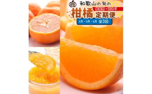 家庭用 柑橘定期便S（4～6月）全3回 ［IKE304］ 2376622 - 和歌山県上富田町