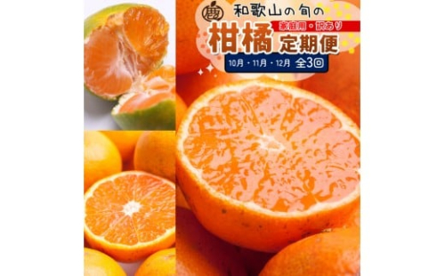 家庭用 柑橘定期便S（10～12月）全3回 ［IKE306］ 2376624 - 和歌山県上富田町