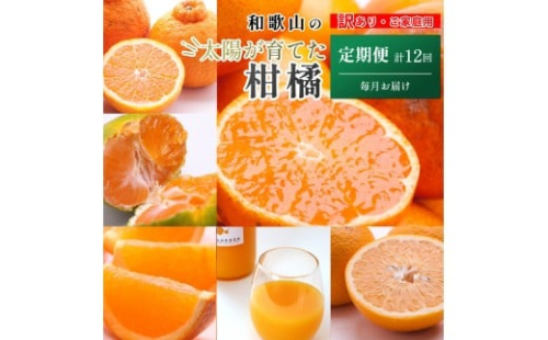 家庭用 柑橘定期便M（毎月）全12回 ［IKE307］ 2376625 - 和歌山県上富田町