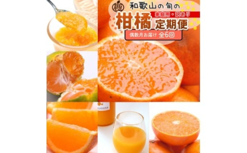 家庭用 柑橘定期便M（偶数月）全6回 ［IKE309］ 2376627 - 和歌山県上富田町
