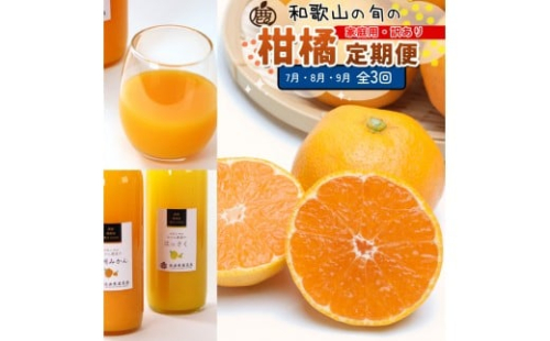 家庭用 柑橘定期便M（7～9月）全3回 ［IKE312］ 2376630 - 和歌山県上富田町