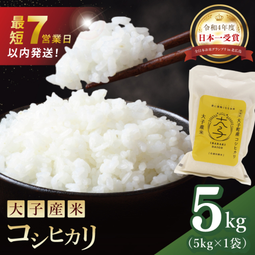 【最短7日発送】大子産米 コシヒカリ（精米）5kg|茨城県 大子町 こしひかり 白米 新米 令和7年産 食味値 コンテスト（AV049） 2377391 - 茨城県大子町