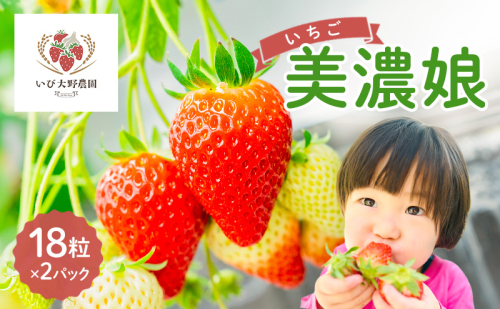 いちご 美濃娘 みのむすめ 18粒×2パック イチゴ 苺 フルーツ 旬 甘い ジューシー 生 美味しい ストロベリー 果物 ギフト 国産 産地直送 農家直送 送料無料 いび大野農園 岐阜県 揖斐川町 2377606 - 岐阜県揖斐川町