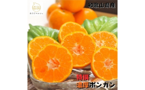 【特選】濃厚 ポンカン 3kg ｜ みかん 蜜柑 柑橘 果物 フルーツ くだもの 果実 国産 和歌山県 晩柑 2377676 - 和歌山県美浜町