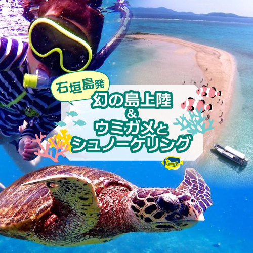 【石垣発】幻の島上陸＆海亀とシュノーケリング♪　無料『マーメイド体験、シャワー、お食事、小浜観光、片道船券付き』 竹富観光可 2377690 - 沖縄県竹富町