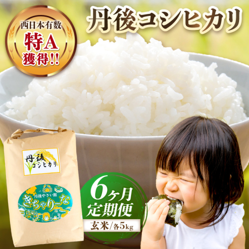 【6ヶ月定期便】直売所直送「令和7年産　京丹後市産　コシヒカリ」　玄米5kg
 2377718 - 京都府京丹後市