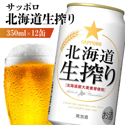 サッポロ 北海道生搾り 350ml×12缶【880151】 2377765 - 北海道恵庭市