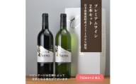 自園自醸ワイン紫波 プレミアムワイン2本セット【1688279】