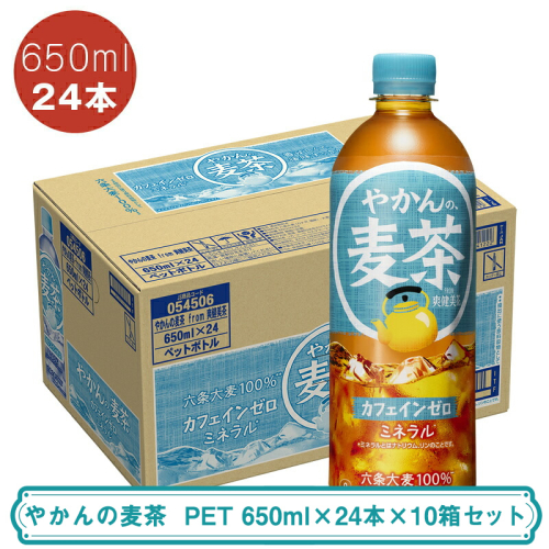 やかんの麦茶 PET 650ml×24本×10箱セット ＜配送不可地域：北海道・九州・沖縄・離島＞ | コカ・コーラ ペットボトル 1ケース(24本) お茶 麦茶 むぎ茶 飲料 ドリンク【コカ・コーラ 日常使い 防災  海老名市 】 2377922 - 神奈川県海老名市