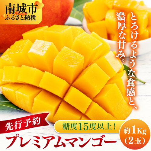 【先行予約】糖度15度以上！最高級プレミアムマンゴー約1kg（2玉）   I  マンゴー まんごー トロピカルフルーツ フルーツ ギフト 最高級 プレミアム1000g 1kg   沖縄県 南城市 ふるさと納税 一般社団法人 2377960 - 沖縄県南城市