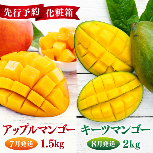 【先行予約】＜7月発送＞アップルマンゴー1,5kg　化粧箱 & ＜8月発送＞キーツマンゴー2kg　化粧箱 2377964 - 沖縄県南城市