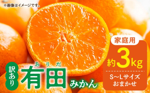 DZ6203_12_【2026年12月発送】ご家庭用 有田みかん 和歌山県産  S～Lサイズ 大きさお任せ 約3kg 2377971 - 和歌山県湯浅町