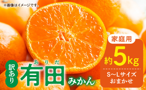 DZ6202_01_【2027年1月発送】ご家庭用 有田みかん 和歌山県産 S～Lサイズ 大きさお任せ 約5kg 2377975 - 和歌山県湯浅町