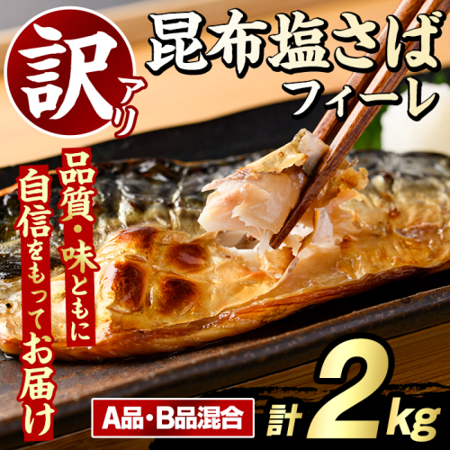 訳あり！昆布塩さばフィーレ(A品B品混合・計2kg) サバ 鯖 おかず おつまみ 惣菜 焼き魚 切り身 昆布 ご家庭用 リピート 【グローバルフーズ】akn061-24 2377982 - 鹿児島県阿久根市