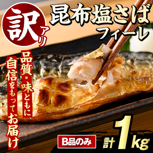 訳あり！昆布塩さばフィーレ(B品のみ・計1kg) サバ 鯖 おかず おつまみ 惣菜 焼き魚 切り身 昆布 ご家庭用 リピート 【グローバルフーズ】akn061-27 2377986 - 鹿児島県阿久根市