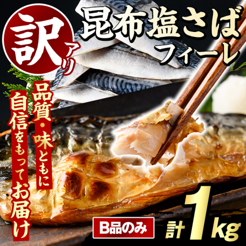 訳あり！昆布塩さばフィーレ(B品のみ・計1kg) サバ 鯖 おかず おつまみ 惣菜 焼き魚 切り身 昆布 ご家庭用 リピート 【グローバルフーズ】akn061-27 2377986 - 鹿児島県阿久根市
