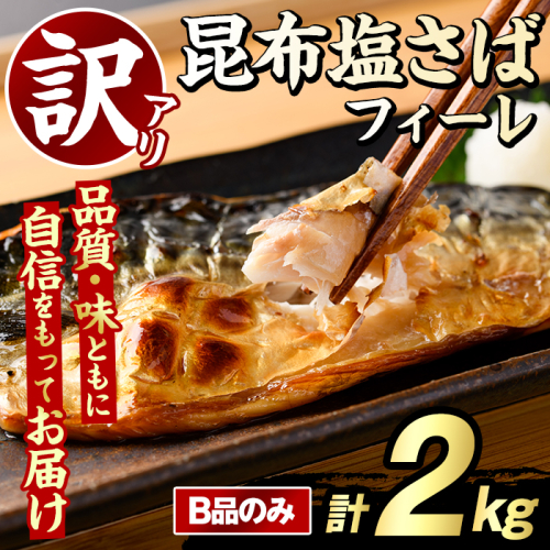 訳あり！昆布塩さばフィーレ(B品のみ・計2kg) サバ 鯖 おかず おつまみ 惣菜 焼き魚 切り身 昆布 ご家庭用 リピート 【グローバルフーズ】akn061-28 2377987 - 鹿児島県阿久根市