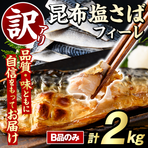 訳あり！昆布塩さばフィーレ(B品のみ・計2kg) サバ 鯖 おかず おつまみ 惣菜 焼き魚 切り身 昆布 ご家庭用 リピート 【グローバルフーズ】akn061-28 2377987 - 鹿児島県阿久根市