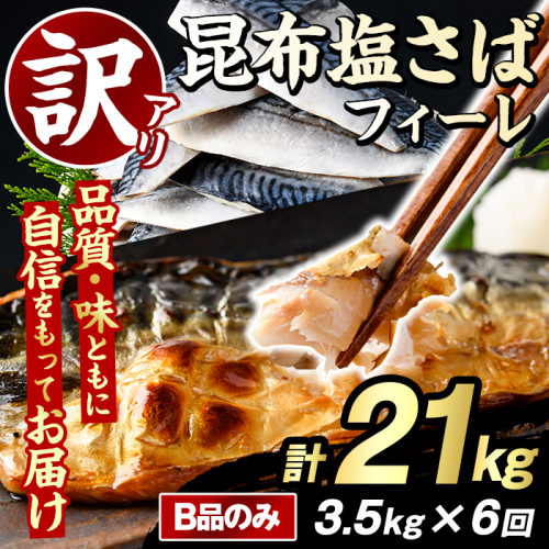 ＜定期便(隔月)・全6回＞訳あり！昆布塩さばフィーレ(B品のみ・計21kg) 大容量 ボリューム サバ 鯖 おかず おつまみ 惣菜 焼き魚 切り身 昆布 ご家庭用 リピート 定期便 【グローバルフーズ】akn061-30 2377995 - 鹿児島県阿久根市