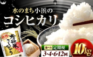 【新米】【4回定期便/3ヶ月に1回】 福井県産 コシヒカリ 精米 (白米) 10kg 一等級　福井県米 /甘みと粘りが際立つ 王道米 こしひかり 小浜市 / 若狭ふれあい市場 [BFEL032]