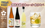 【諏訪五蔵】 梅酒 リキュール 飲み比べ セット 720ml×3本 舞姫 「翠露 あんず酒」 横笛 「純米仕込み 梅酒」 真澄 「ゆず酒」【信州 梅酒 ゆず酒 酒 お酒 地酒 SAKE さけ お取り寄せ ギフト プレゼント 贈り物 贈答 お祝い】[102-49]