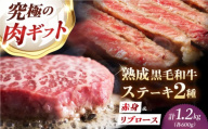 [旨味成分最大4倍] 熟成肉 ギフト 霜降り 黒毛和牛 極上の味わい対決セット:リブロースステーキ & 極上赤身ステーキ 計1200g(2種×各3パック) 大阪府高槻市/株式会社MARBLANC [AOAS034] お肉 牛肉 ブロック肉 黒毛和牛 和牛 赤身 霜降り すき焼き スライス 食べ比べ 牛スライス 赤身スライス ギフト プレゼント 熟成肉 記念日 ディナー 父の日 母の日 クリスマス