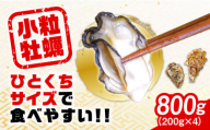 [3月6日(金)着]生産量日本一![生牡蠣]レンジでチンするだけ簡単!江田島の小粒牡蠣『がきんちょ』(200g×4パック) (加熱用) 牡蠣 カキ レンチン おかず かき 江田島市/株式会社門林水産 [XAO003] 牡蠣 むき身 殻付き 殻付 殻 かき カキ 生牡蠣 広島牡蠣 オイスター カキフライ 魚介類 魚介 貝類 海鮮 広島県産 国産 産地直送 贈答 ギフト 特産品