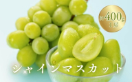 【2026年先行予約】シャインマスカット 400g以上(1房) | 葡萄 グレープ 果物 フルーツ シャインマスカット 信州ぶどう 信州葡萄 産地直送 種無し 皮ごと食べれる 白ぶどう マスカット お取り寄せ 信州 長野 千曲市