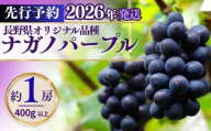 [2026年先行予約]ナガノパープル 400g以上(1房) | 果物 フルーツ 黒ぶどう 葡萄 ブドウ 種無し 種なし 皮ごと 千曲市 長野県 信州