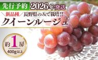 [2026年先行予約]クイーンルージュ® 400g以上(1房) | ぶどう 葡萄 ブドウ グレープ 赤ぶどう 種無し 種なし 皮ごと 果物 くだもの フルーツ 信州ぶどう 信州葡萄 産地直送 信州 長野 千曲市