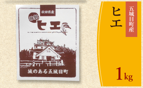 五城目町産 ヒエ １kg 雑穀 雑穀米 秋田県産 お米 ご飯 ライス 2380434 - 秋田県五城目町