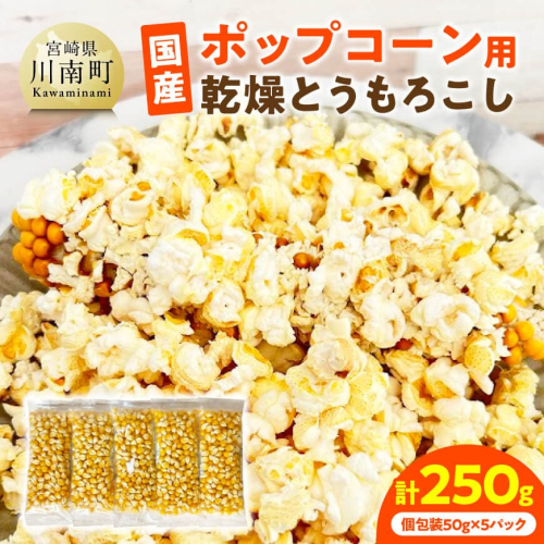 国産ポップコーン用（乾燥とうもろこし）　250g（個包装50g×5パック） 【 数量限定 期間限定 宮崎県産 ポップコーン 】 2380437 - 宮崎県川南町