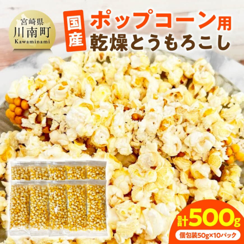 国産ポップコーン用（乾燥とうもろこし）　500g（個包装50g×10パック） 【 数量限定 期間限定 宮崎県産 ポップコーン 】 2380438 - 宮崎県川南町