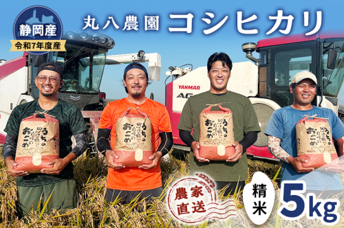 お米 令和7年度産静岡産コシヒカリ精米5kg 米 コメ こしひかり コシヒカリ 精米 白米 袋井市 静岡県 2380440 - 静岡県袋井市