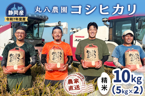 お米 令和7年度産静岡産コシヒカリ精米5kg×2 米 コメ こしひかり コシヒカリ 精米 白米 袋井市 静岡県 2380441 - 静岡県袋井市